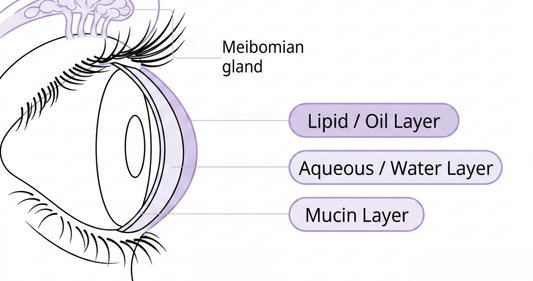 Eye Drops vs. Lid Hygiene: The Actual Difference
